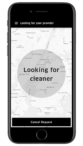 laundrapp clone script